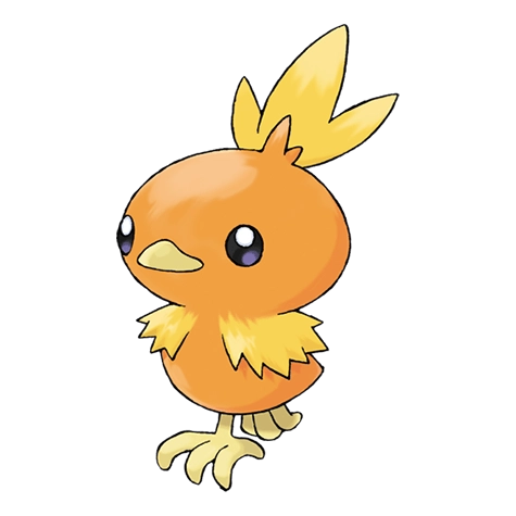 Torchic